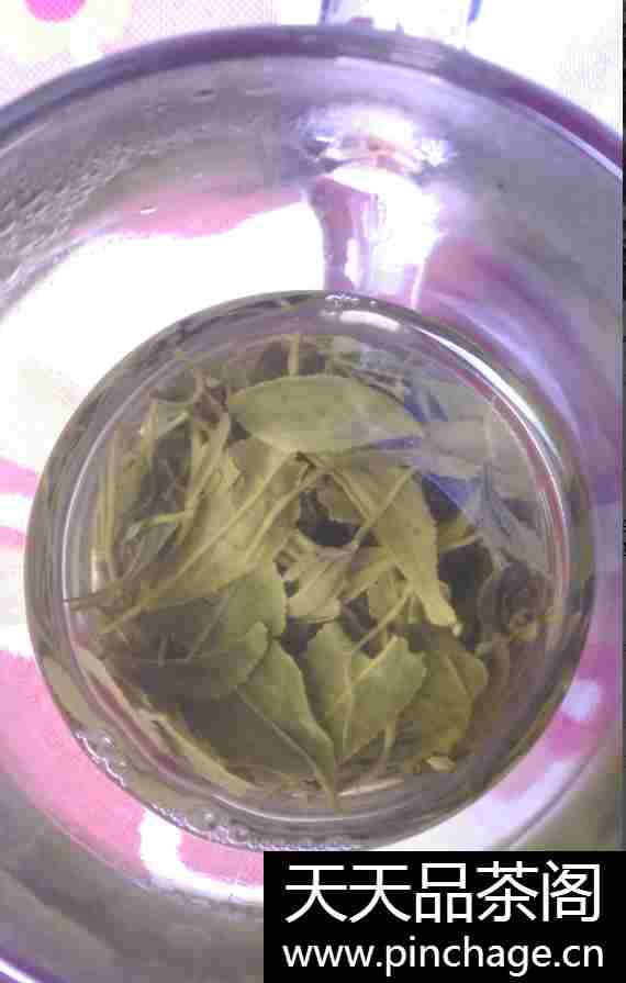 豫信 春茶四级信阳毛尖绿茶茶叶