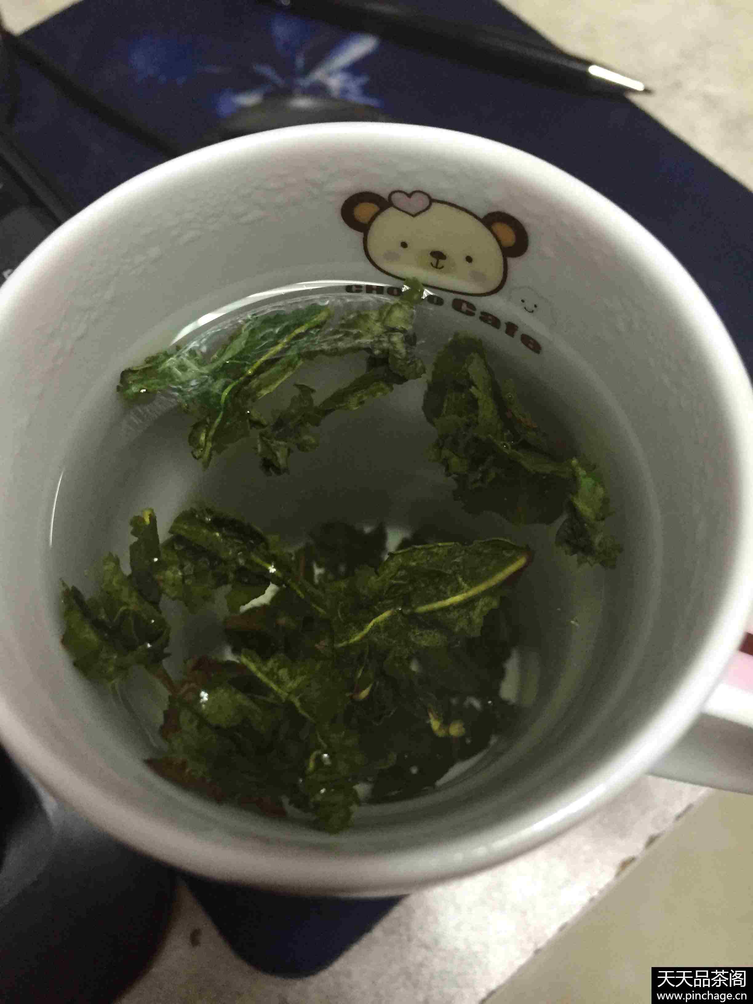 缤绿 新年礼茶 铁观音茶叶