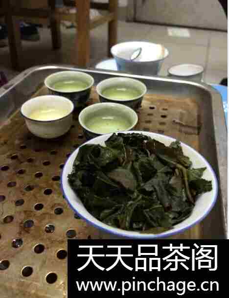 缤绿茶业 铁观音 礼盒装茶叶