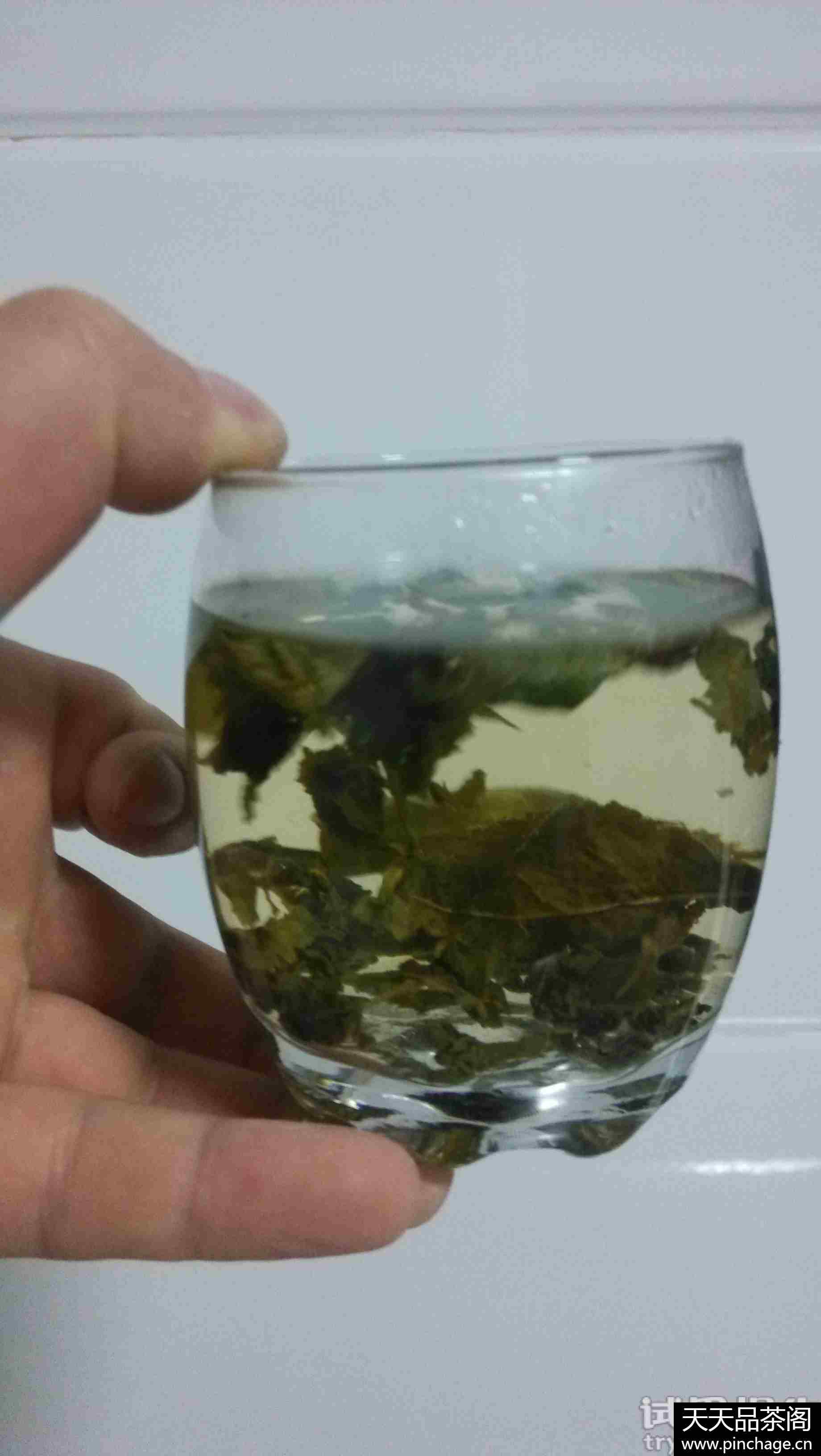 清香型安溪铁观音茶叶