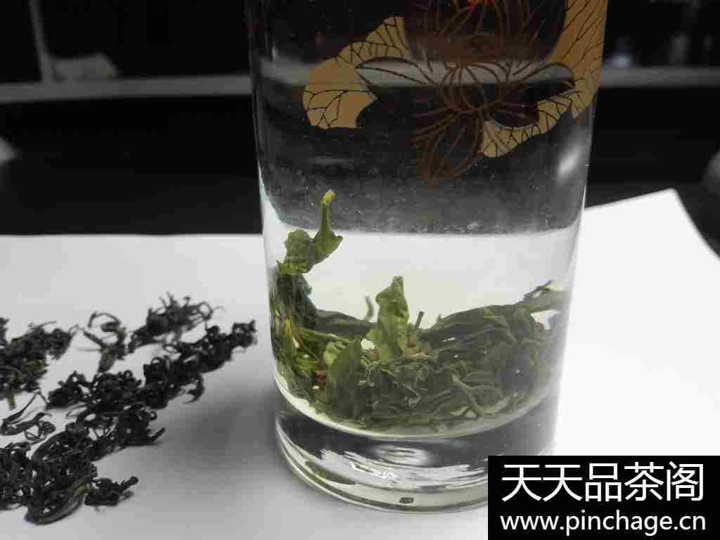 北茶甲子山日照绿茶