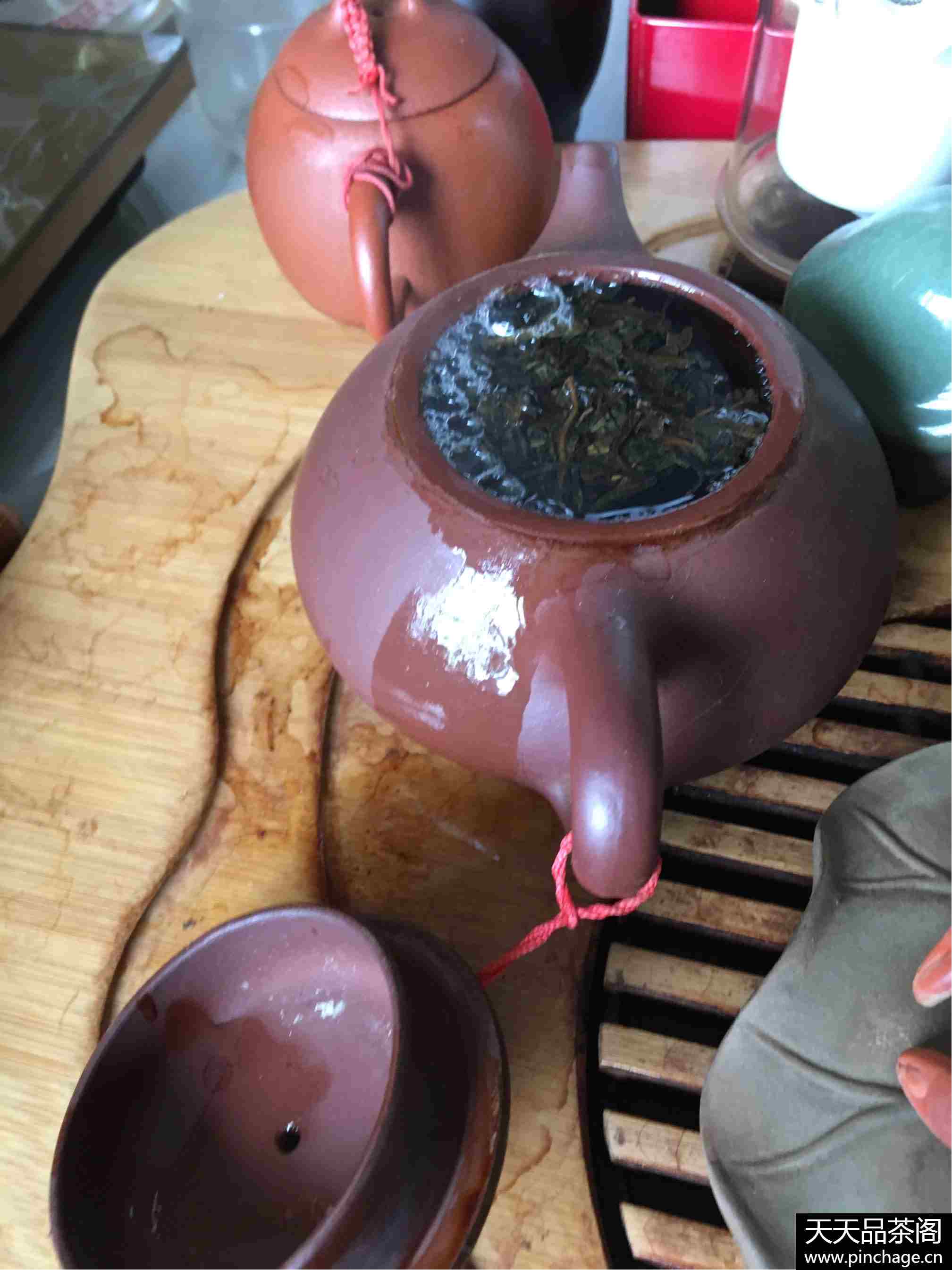 福海茶厂经典乔木大树茶