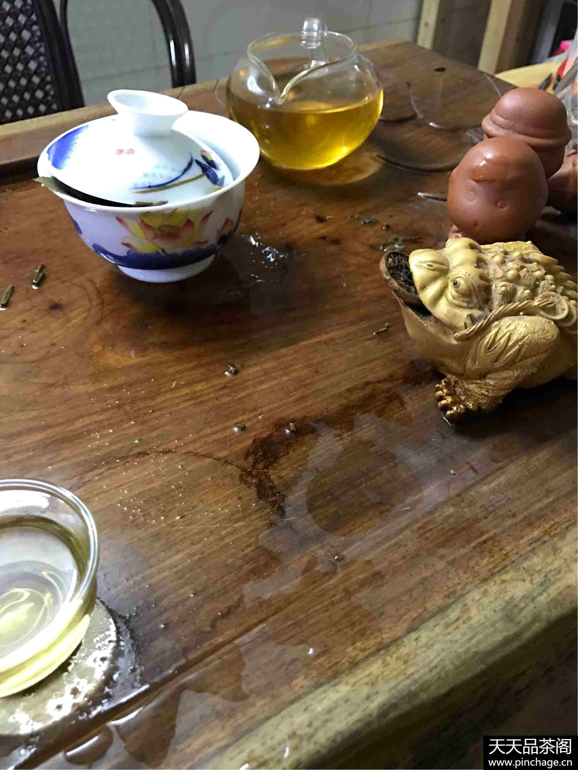 千年古树茶砖黄片推动春茶预售