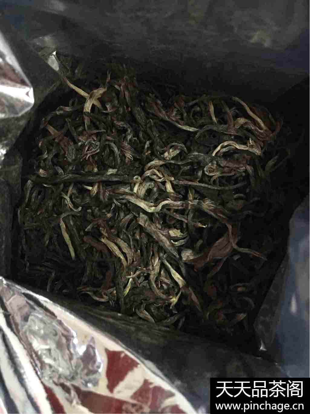 雨林古树茶 动物系列生茶
