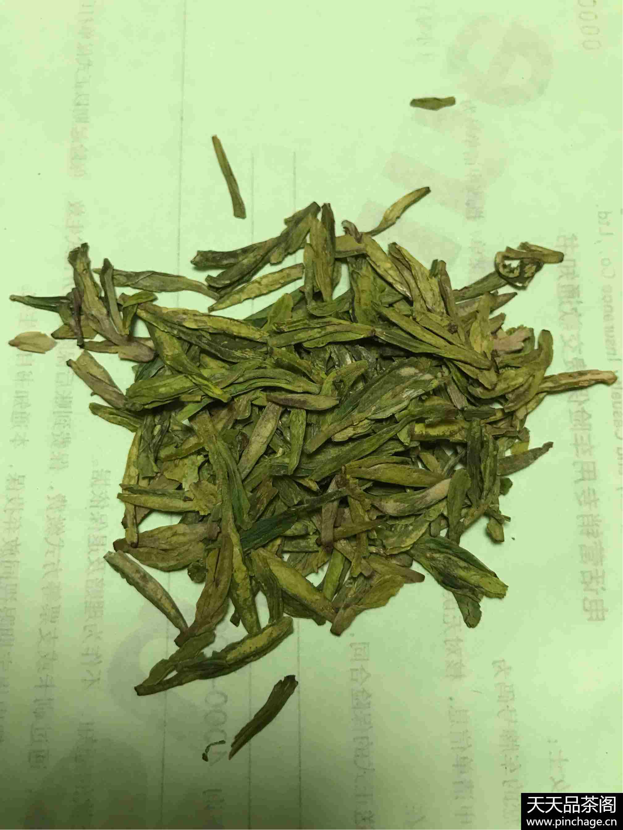 狮梅牌 明前特级西湖龙井茶