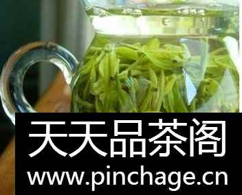 有哪些关于龙井茶的习俗和传说