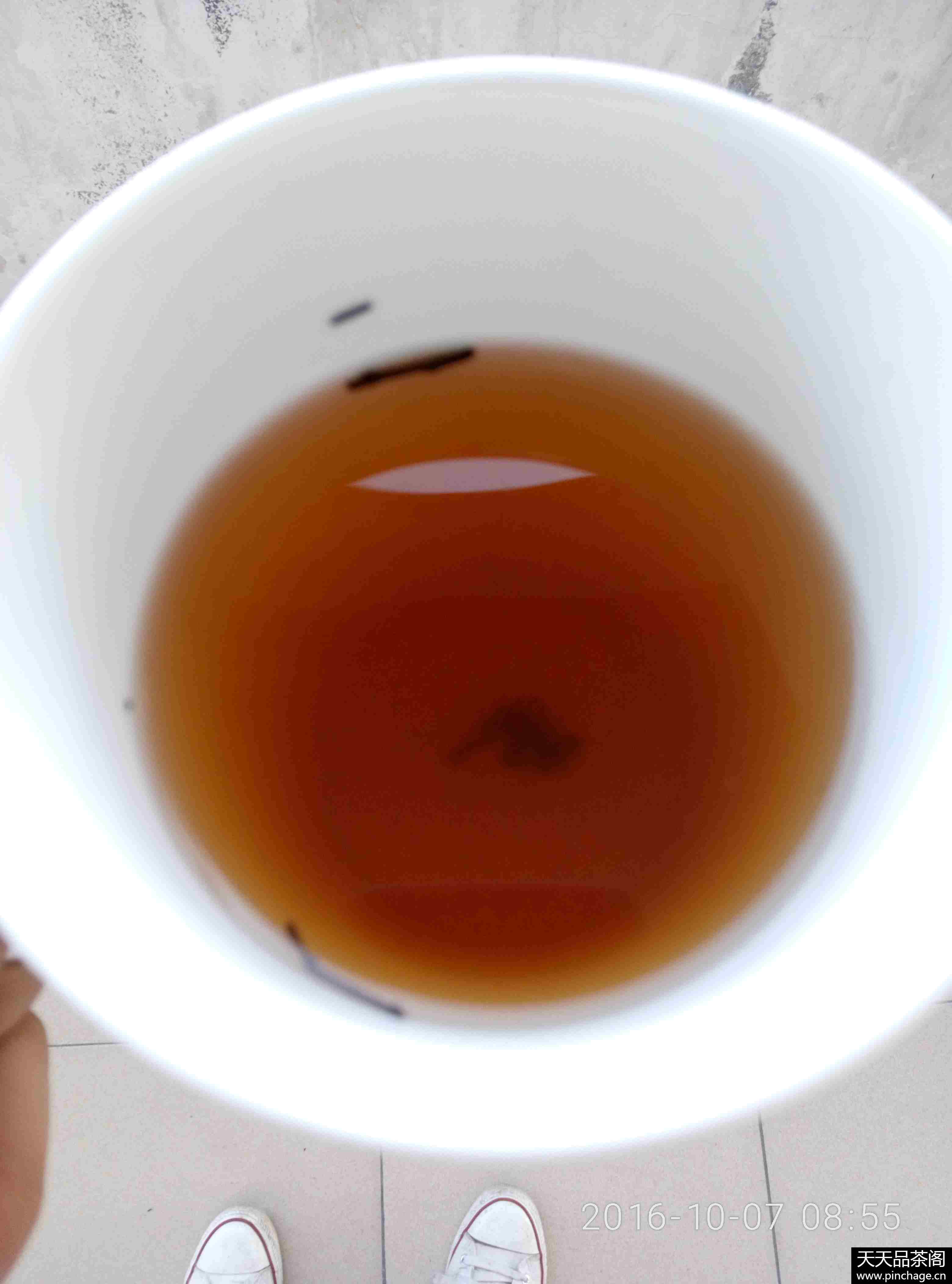 荒山茶叶安化黑茶金花茯砖茶