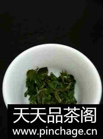 茶叶绿茶六安瓜片