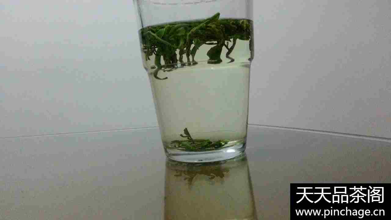 新茶绿茶 历史名茶龙游方山茶叶