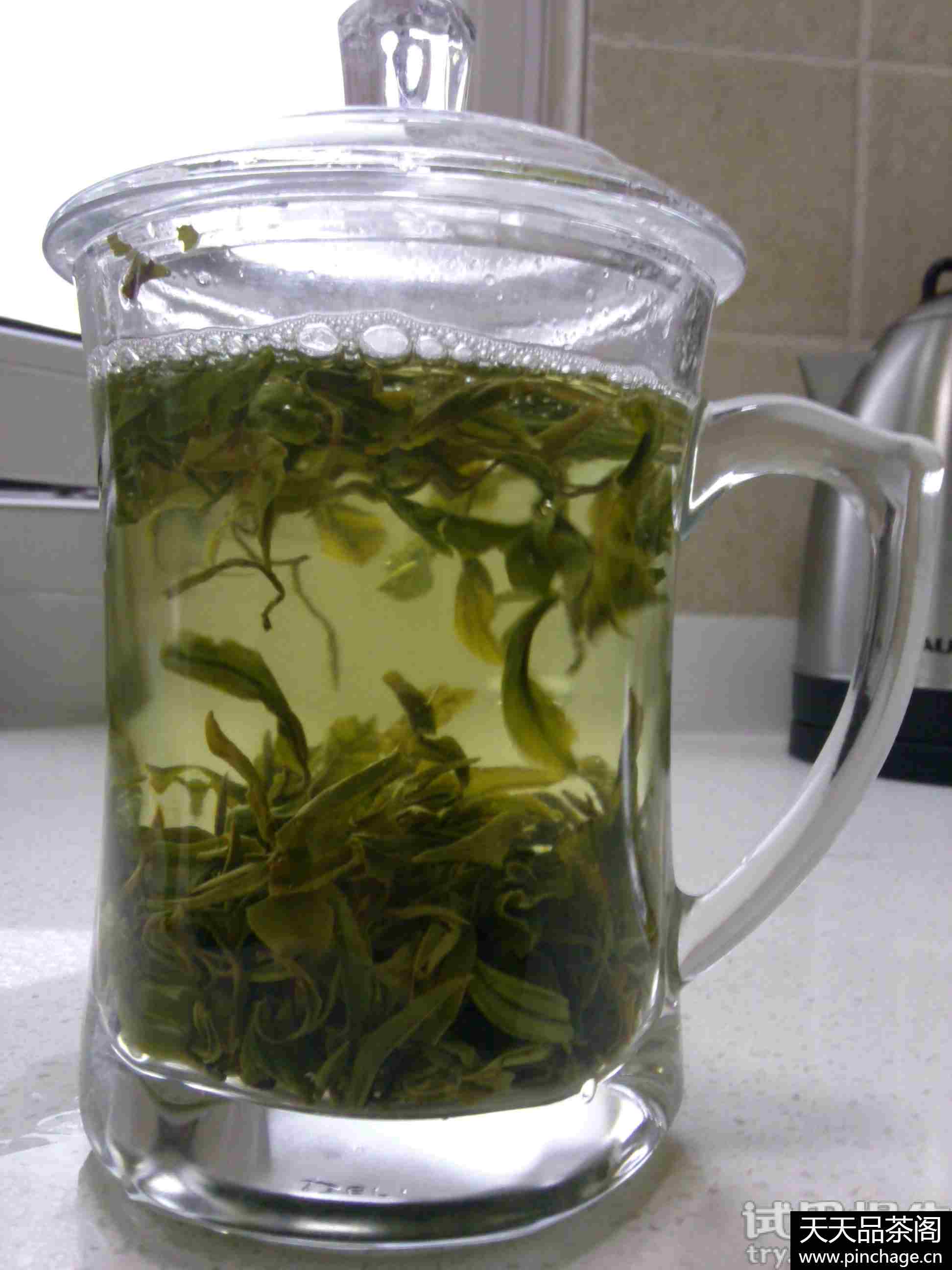 东坪高山茶原生态绿茶茶叶