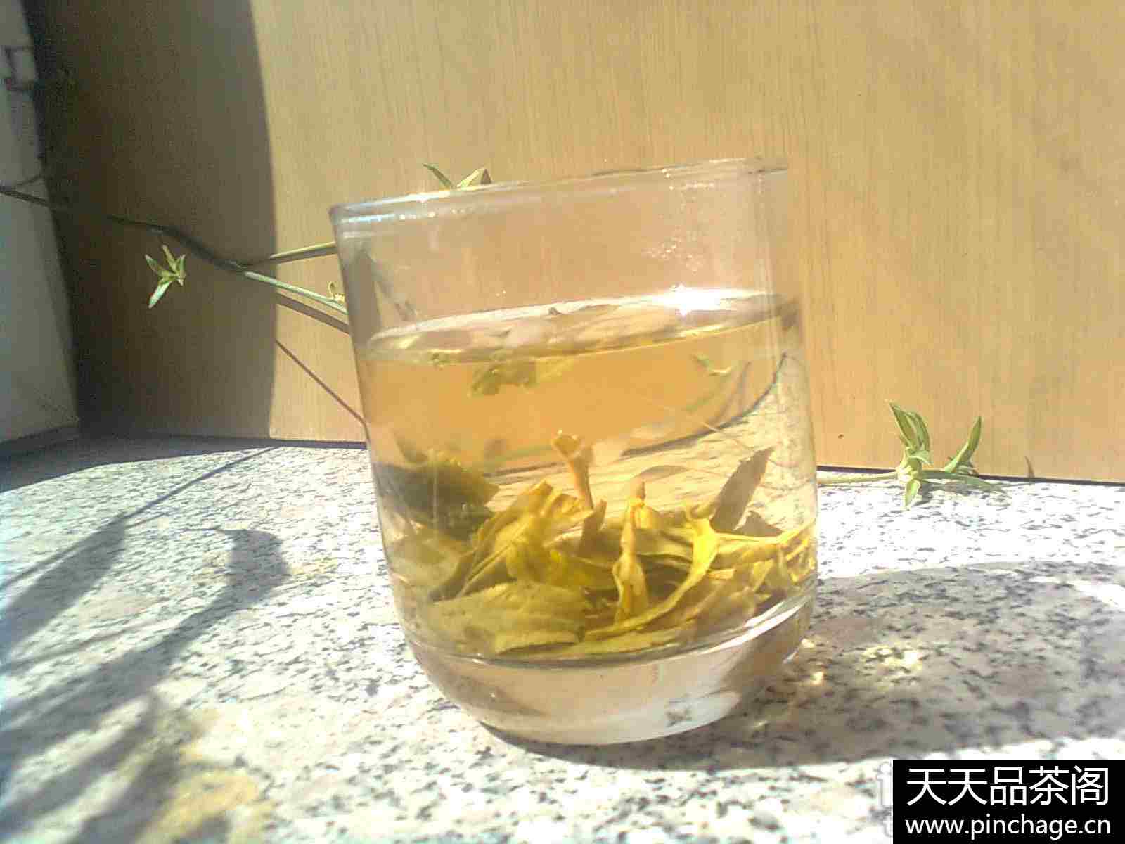 杭梅茶叶正宗雨前西湖龙井茶绿茶