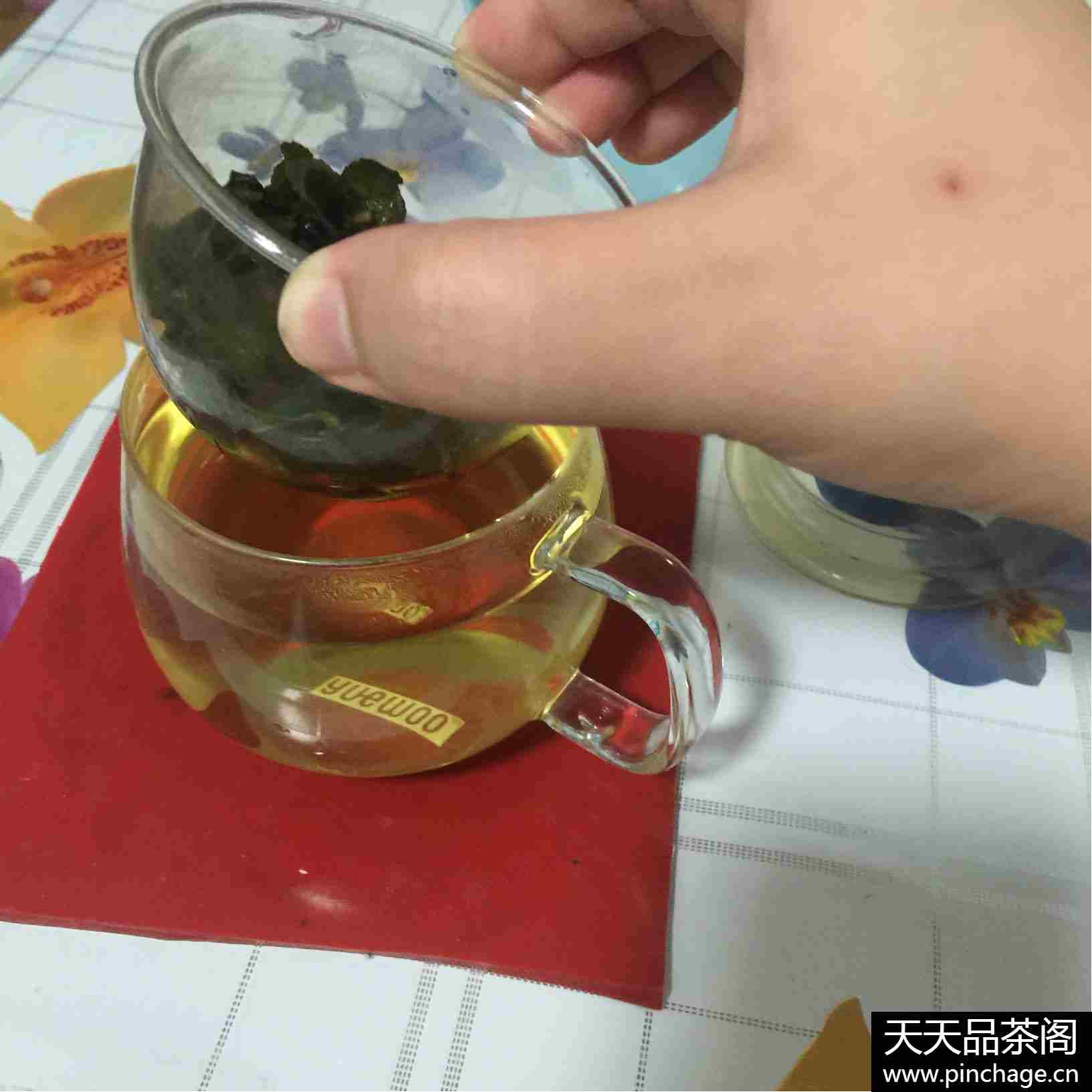铁观音清香型秋茶