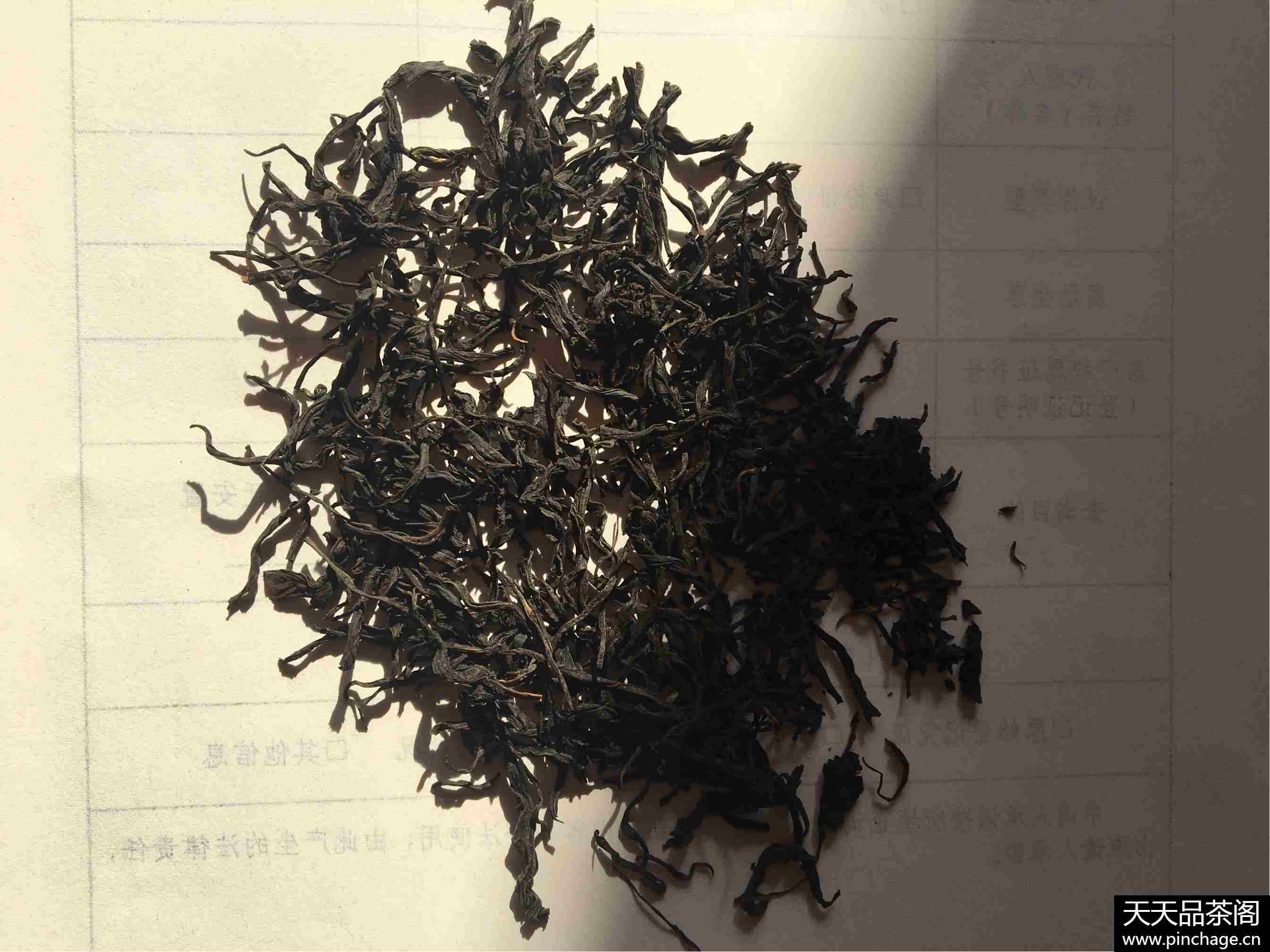 正山小种红茶高档
