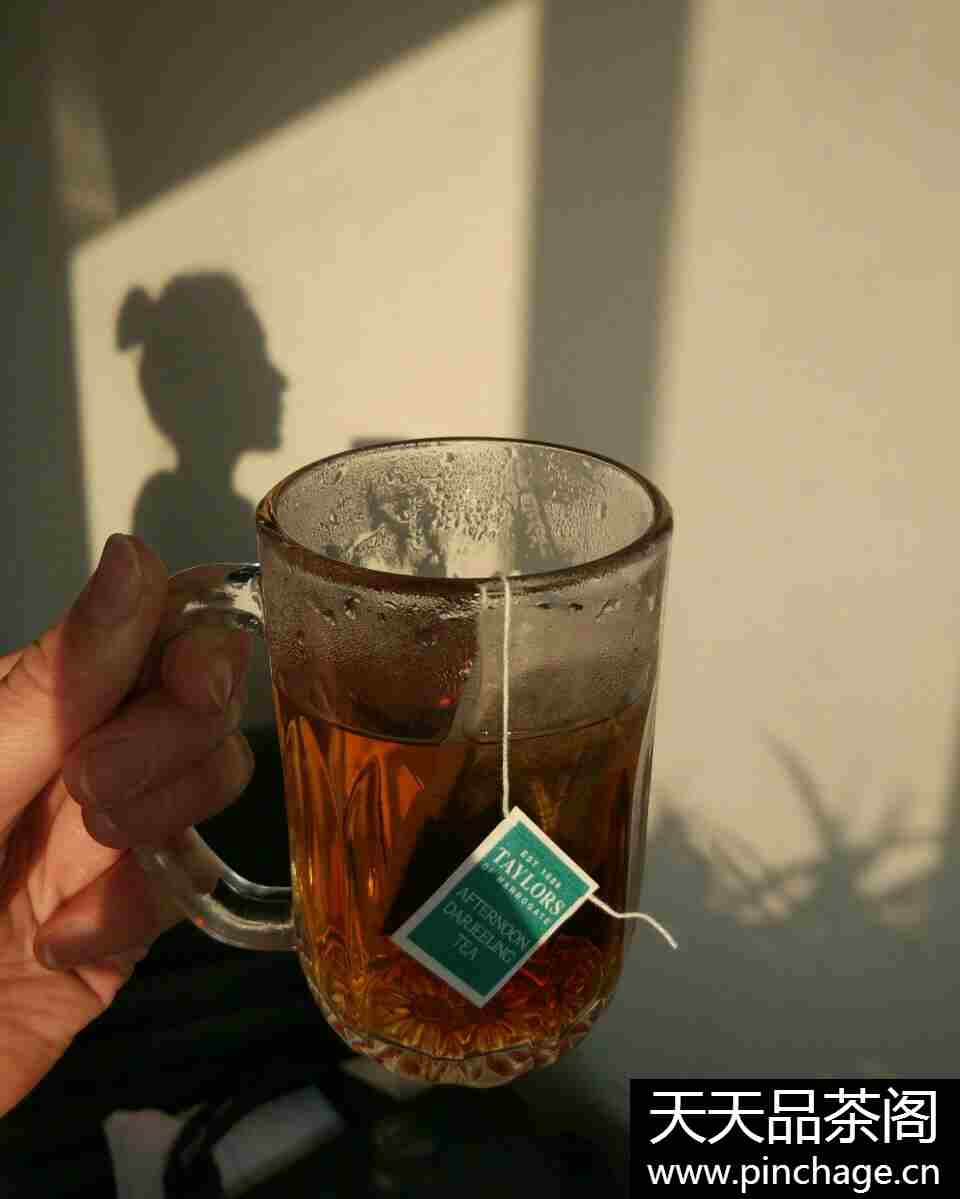 英国进口泰勒红茶包盒
