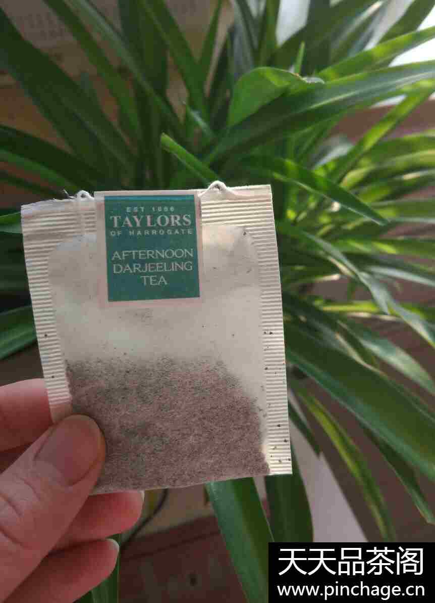 英国进口泰勒红茶包盒