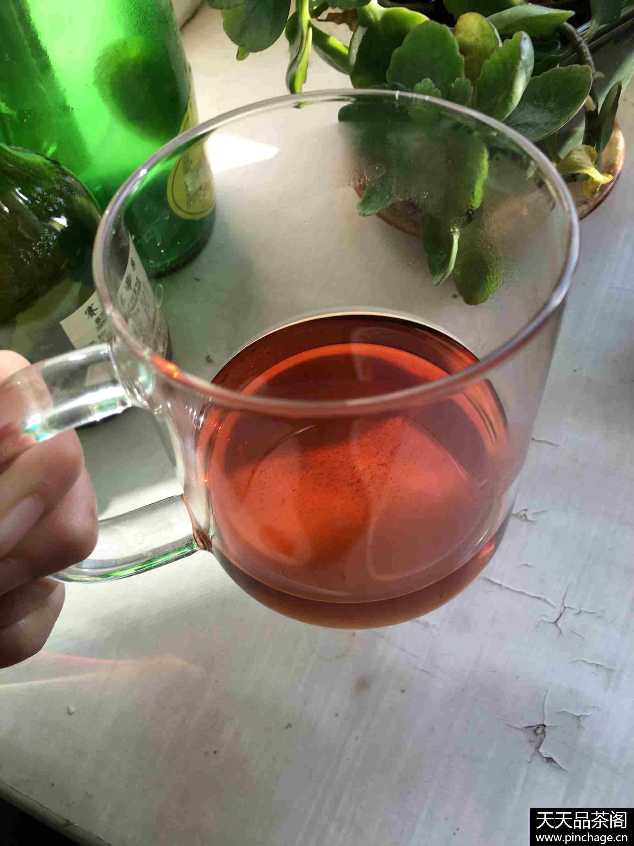 普洱茶老嫚娥熟茶