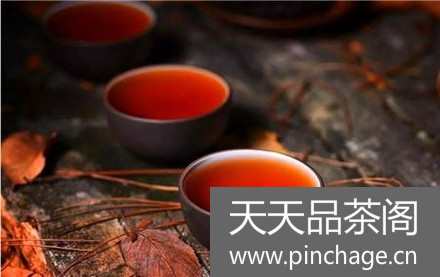 武夷岩茶大红袍的冲泡方法